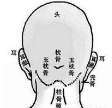 骨相学秘传：“摸骨算命”金口诀（建议收藏）