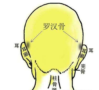 骨相学秘传：“摸骨算命”金口诀（建议收藏）