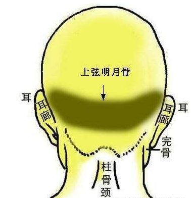 骨相学秘传：“摸骨算命”金口诀（建议收藏）