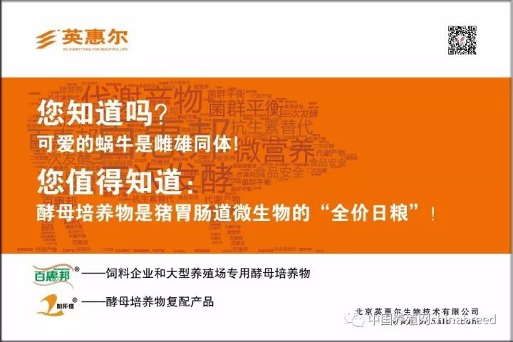 北平仔猪今日价格（云南省仔猪今日价格）