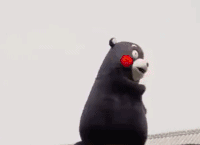 江西高考成绩出炉！文科最高671分！理科最高703分