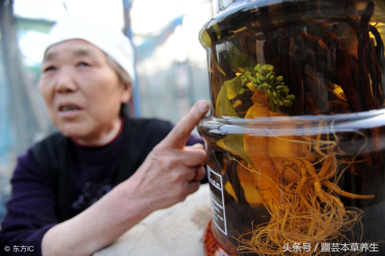 一斤半枫荷能泡多少酒 -生活知识库-动动脑