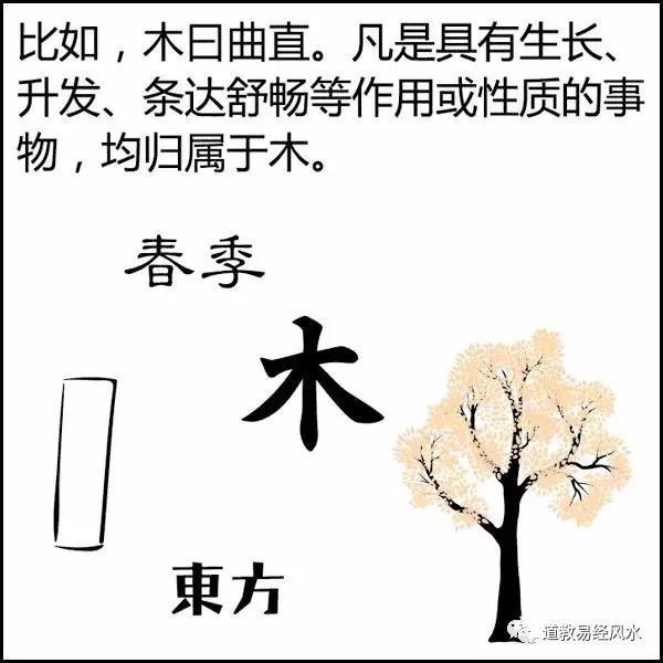 漫画讲解风水系列神秘八字命理之阴阳五行！简单易懂！