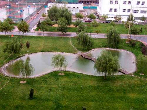 对外经济贸易大学官网（走进名校84）