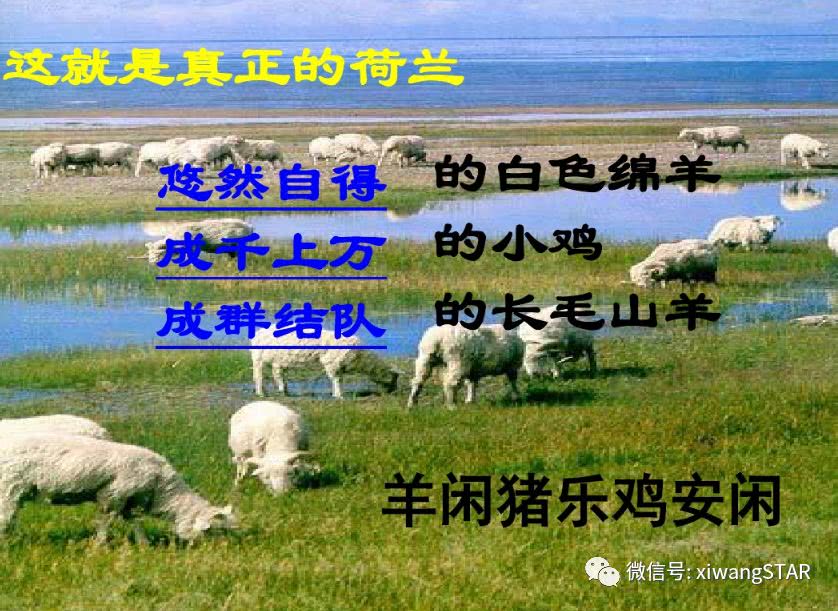 媛媛妈教语文：人教版四年级语文下册第六单元知识点
