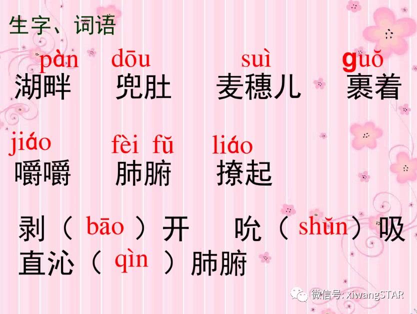 媛媛妈教语文：人教版四年级语文下册第六单元知识点
