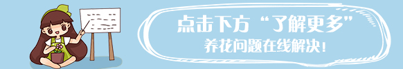 家里种什么花风水好又旺财（客厅养什么花聚财又镇宅）-第41张图片-科灵网