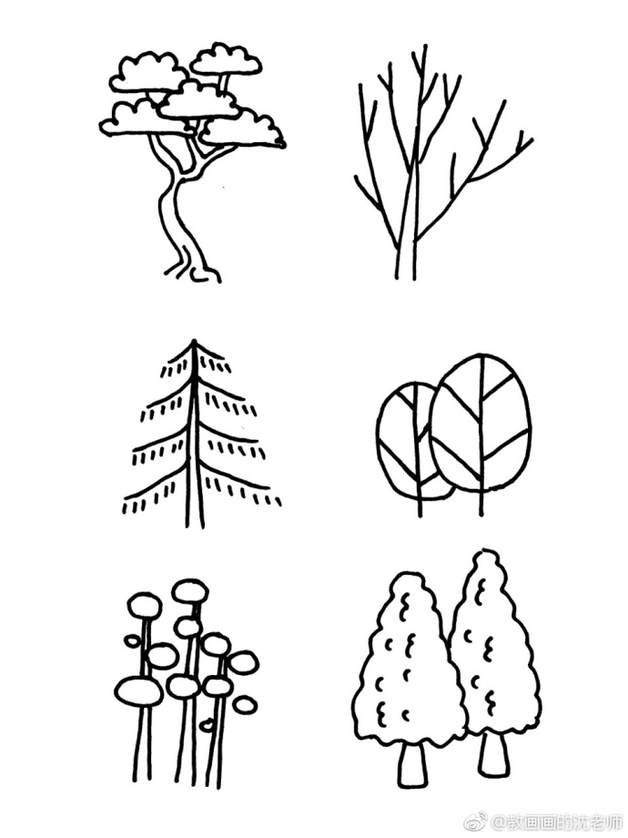 100种树的简笔画图片