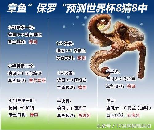 南非世界杯章鱼叫什么(世界杯那些不可思议的事：八年前一只章鱼让世界球迷震惊！)