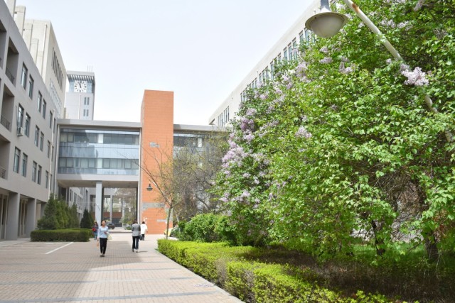 西北五省各地的排名第二的大学，老二也不比老大逊色多少