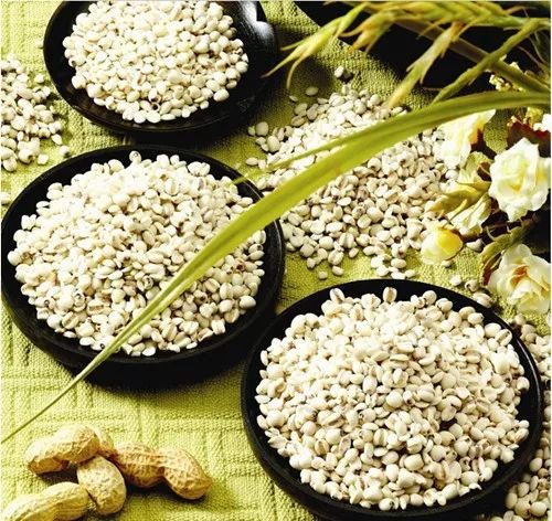 【吃货涨姿势】薏米的营养价值、功效作用有哪些？换种米吃更健康！