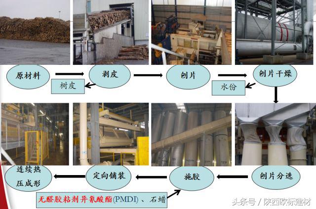 欧标建材｜欧松板(OSB)究竟高明在哪里？