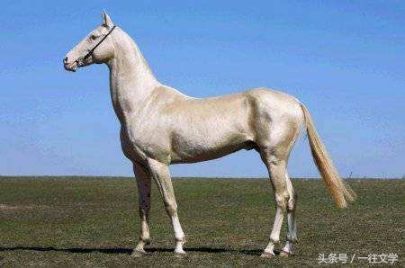 这么多不同种类的马,或许我们都认不出来,司马迁居然能写出他们所有的