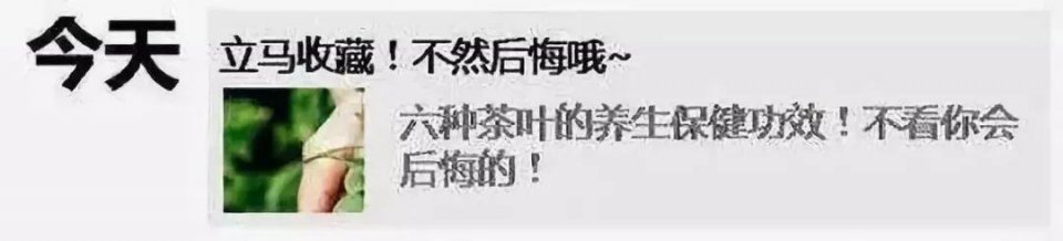 你朋友圈的恐怖真相，都在这片里