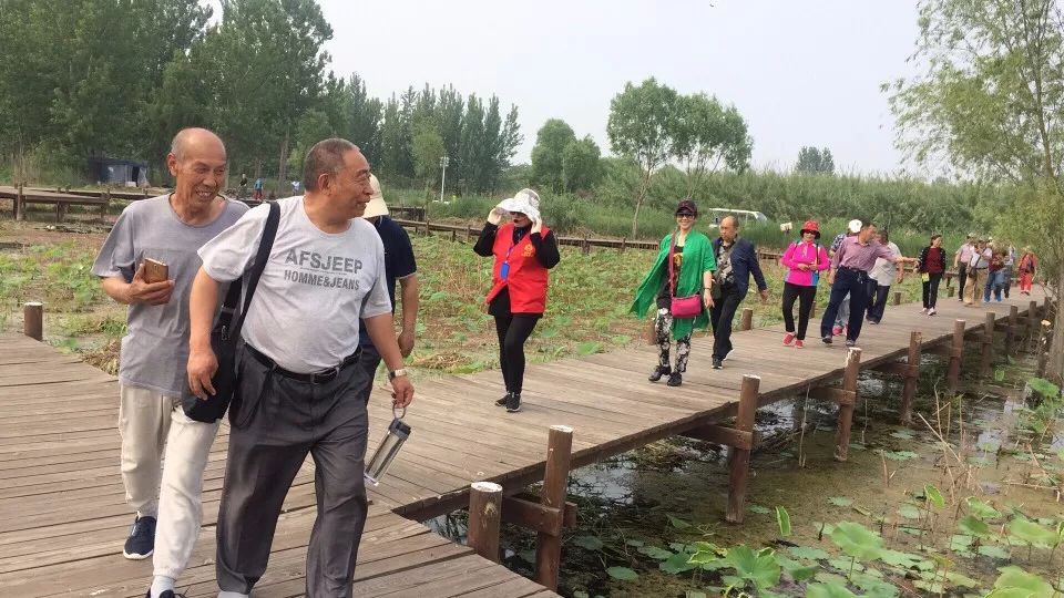 「旅游攻略」微山｜走进湿地景区 品味孟夏之旅