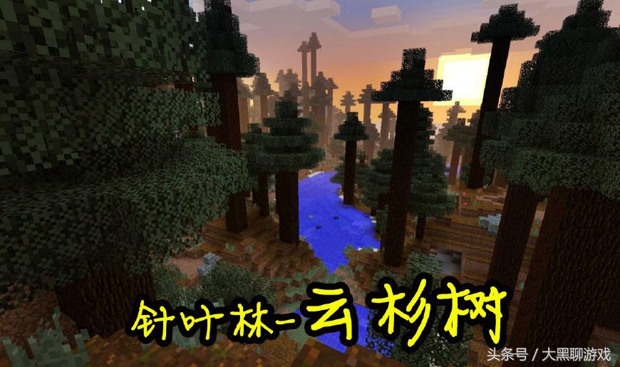 我的世界：游戏最全的8种树木介绍，见到第7种代表你已经通关了