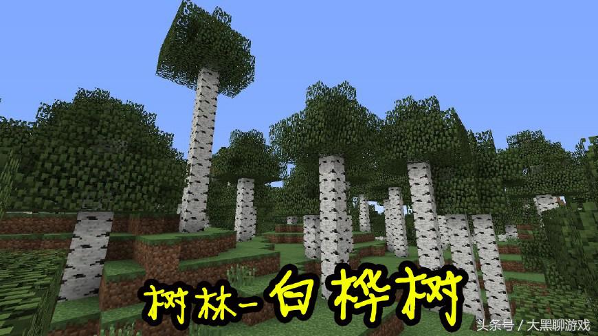我的世界：游戏最全的8种树木介绍，见到第7种代表你已经通关了