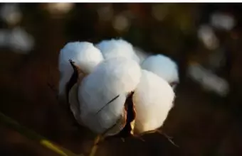 婴儿衣服码数（给宝宝买衣服）