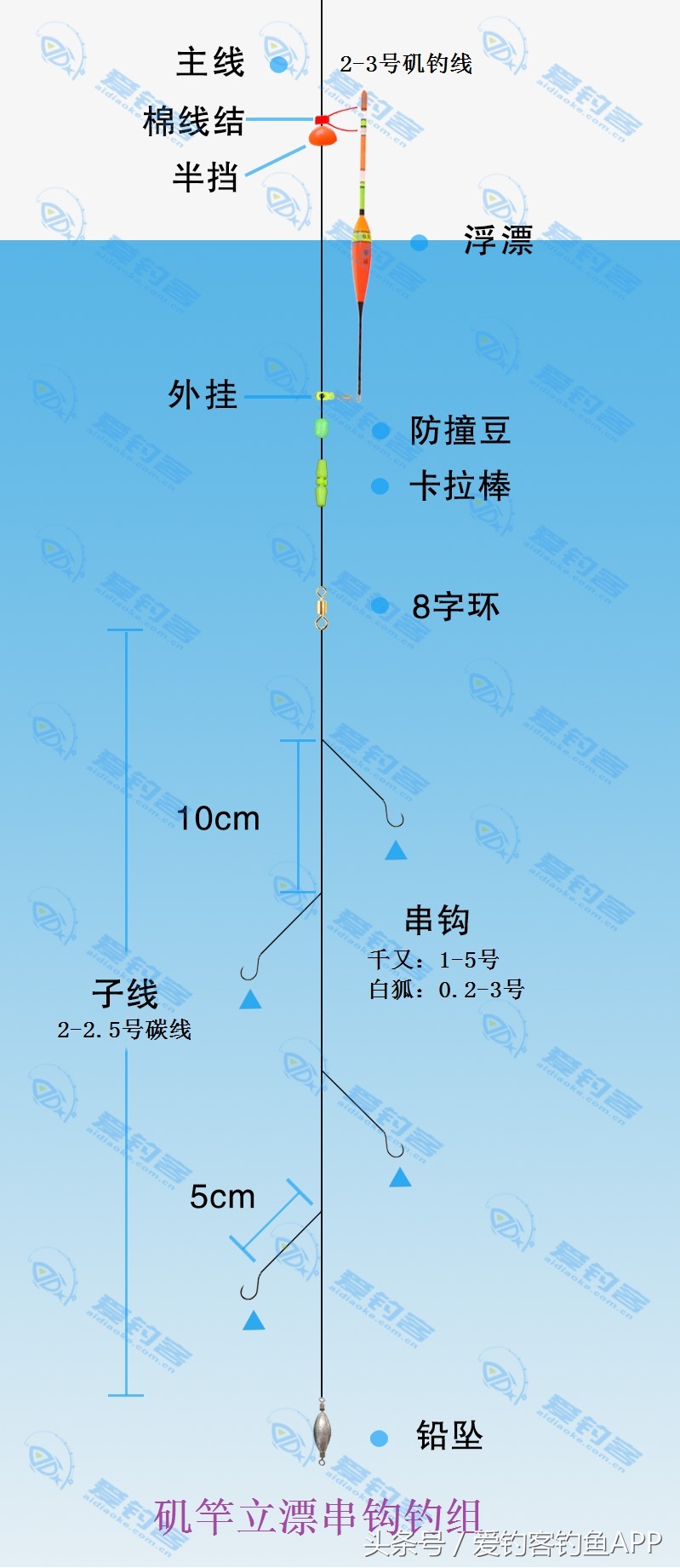 钓组分享｜矶竿立漂串钩钓组