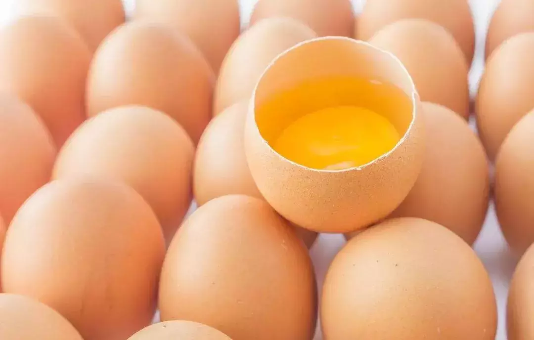 今日周至鸡蛋价格查询（今日全国鸡蛋最新价格报价）