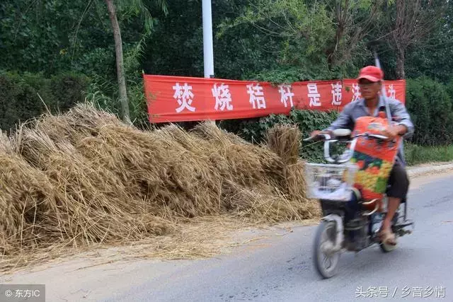 秸秆禁烧！哪句标语最有效？