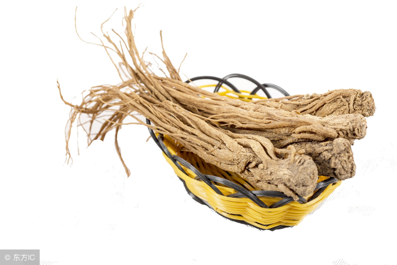 玄参的药性和归经当归与归参是一样吗