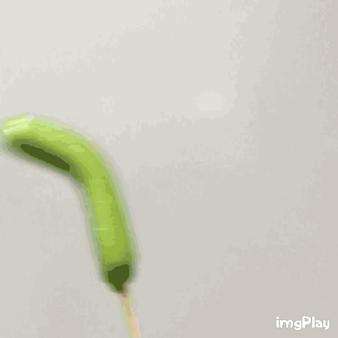 追寻那些年属于童年记忆的23款小零食，你都吃过吗？