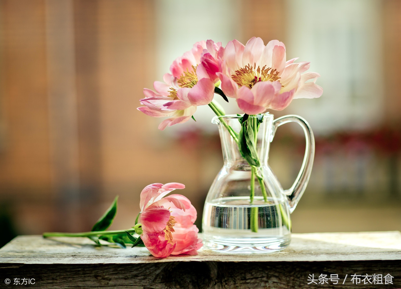 真正的朋友是那些在你最需要时出现，无条件支持你的人。