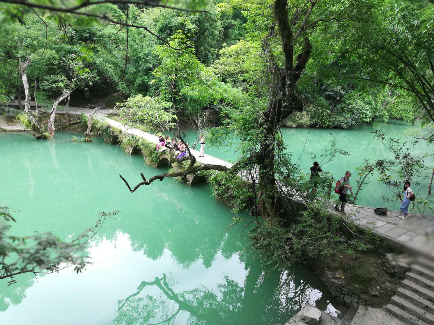荔波七孔桥随想