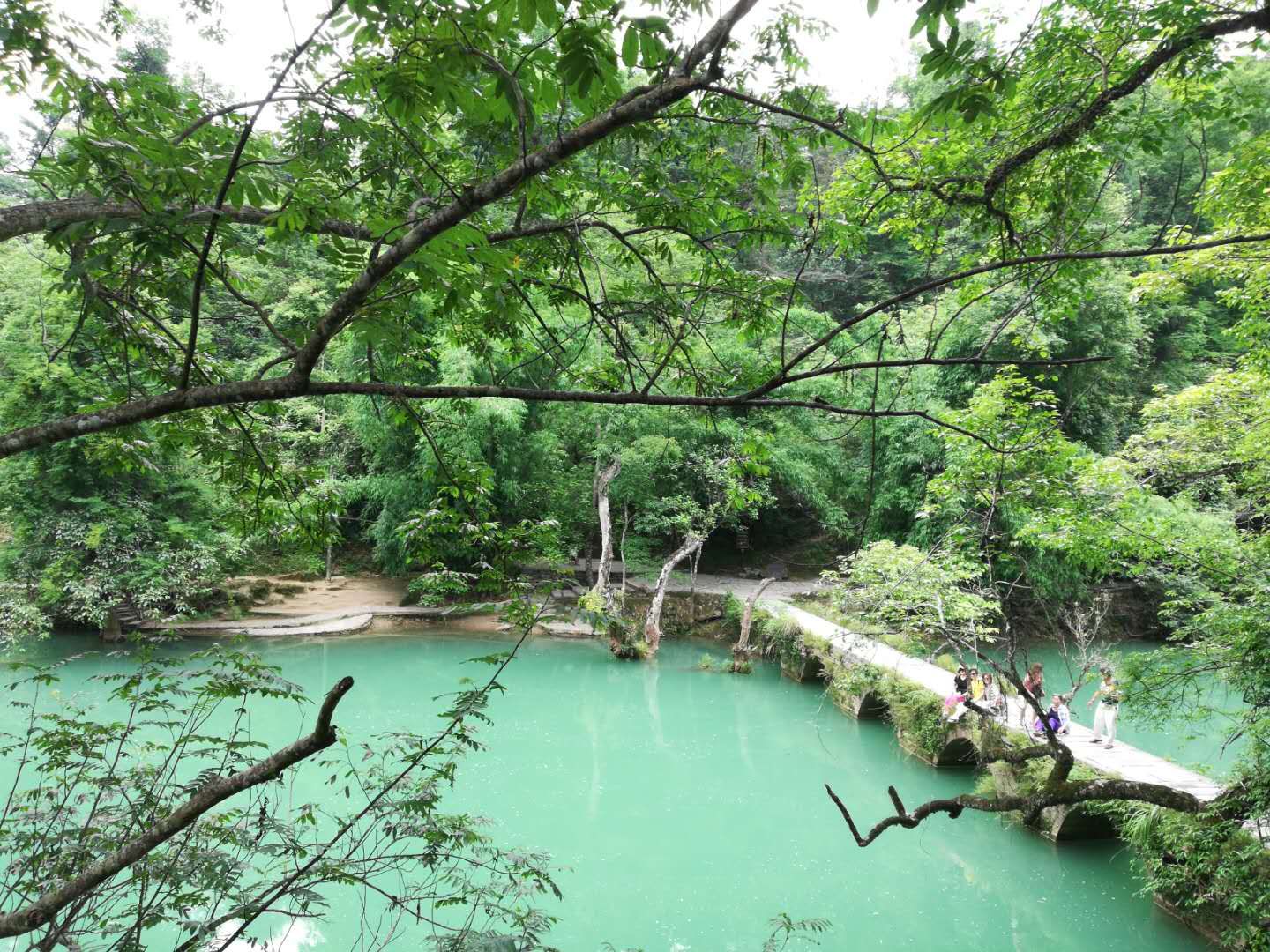荔波七孔桥随想