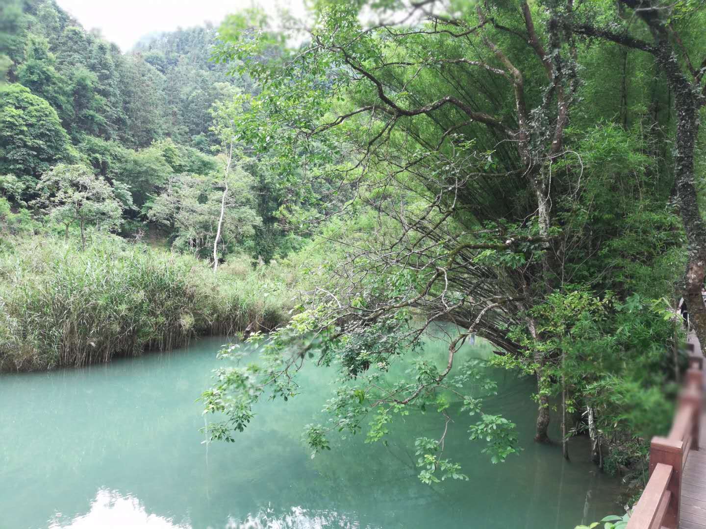 荔波七孔桥随想