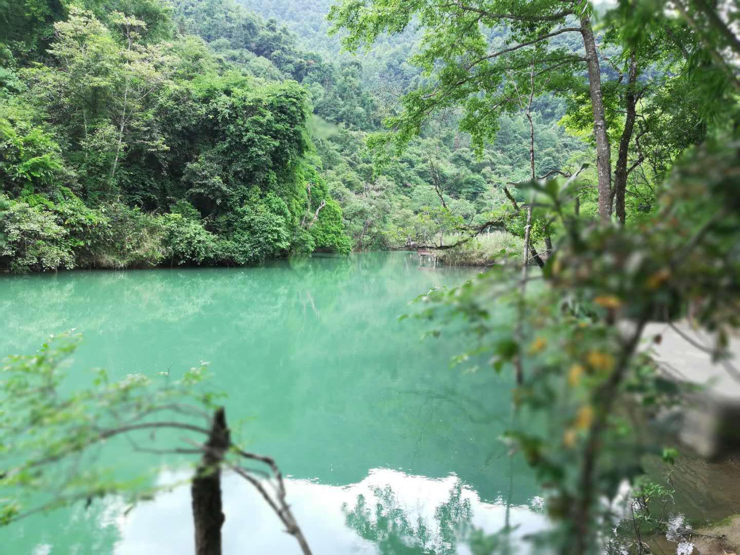 荔波七孔桥随想