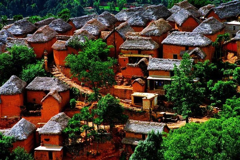 别再去昆大丽了,云南红河竟然还有这样的地方,美哭了!