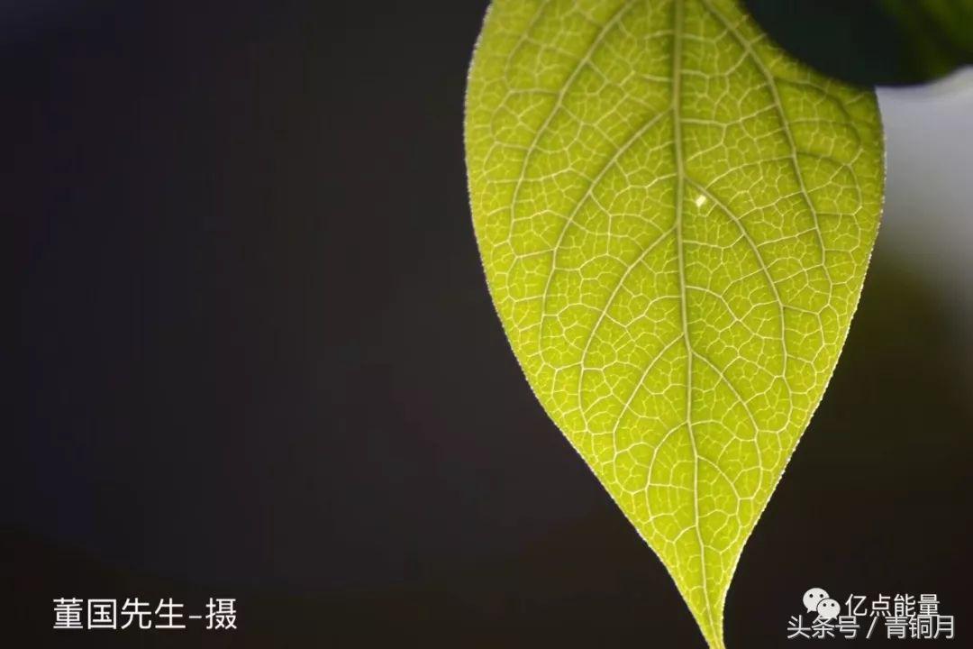 幼儿遗忘校车致死，谁之责