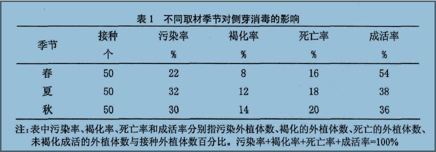 垂花蕙兰丛生芽途径的组织培养技术