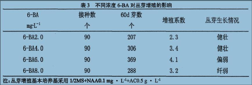 垂花蕙兰丛生芽途径的组织培养技术