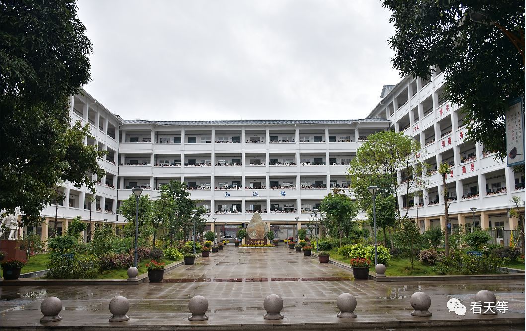 天等高中2017高考成绩(天等高中2020高考)-友友