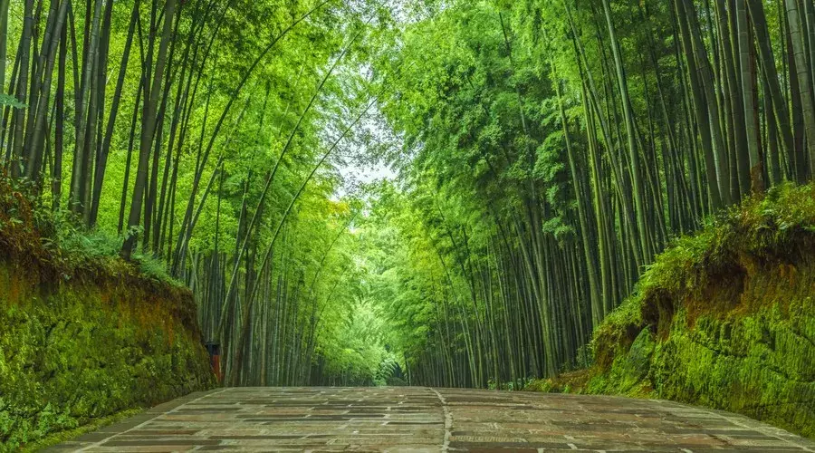 7位状元,12首诗词,祝高考考生金榜题名!