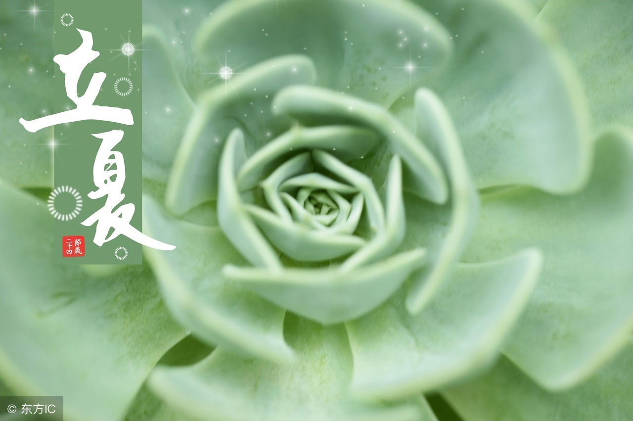 图片[1]-“立夏”用英语怎么说？-笑傲英语网