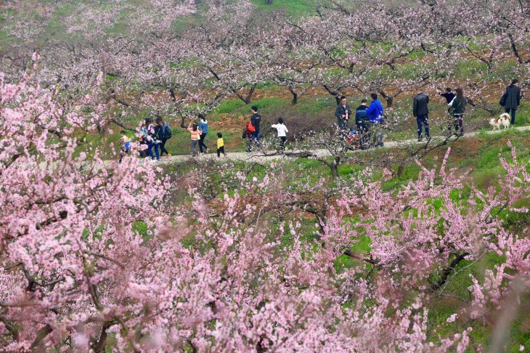 枣阳赶集网招聘信息（1）