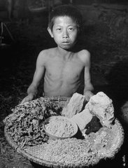 大饑荒時人民生活有多困難，為什么要吃觀音土