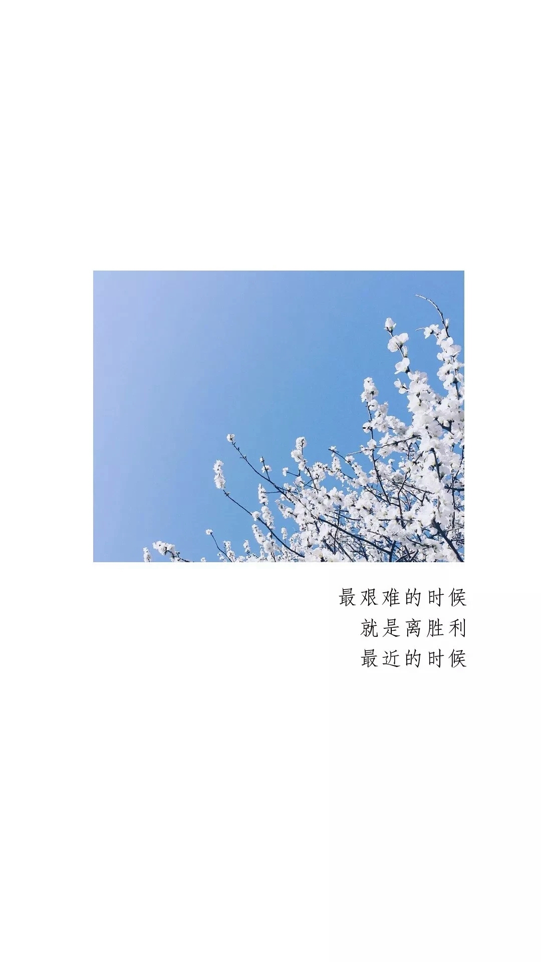 《高考励志篇》手机壁纸｜愿各考生历经千帆，终能得偿所愿～