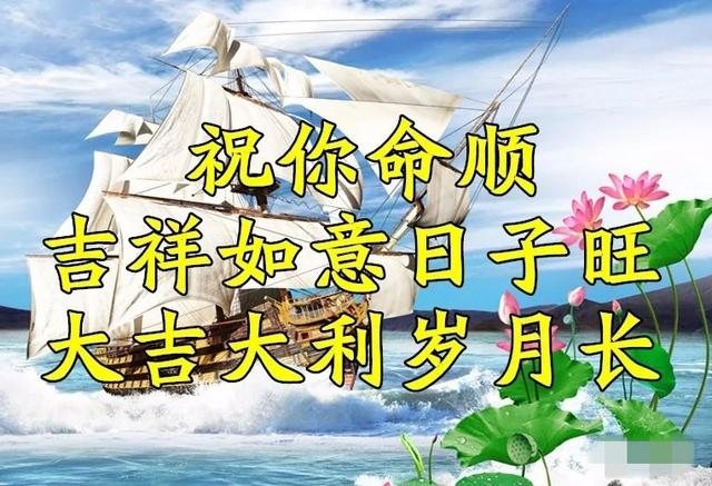 今天六月六，祝你六六大顺，福星高照！