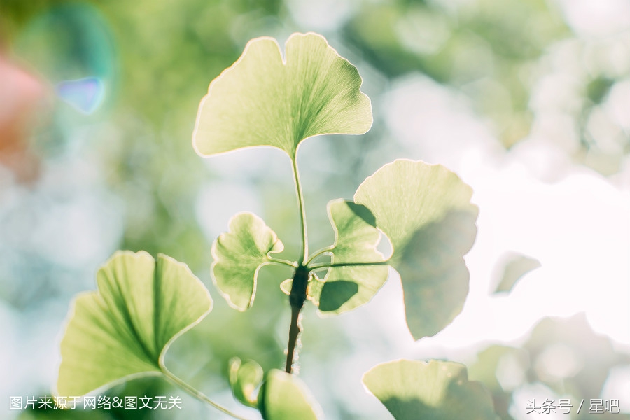 12星座6月7日运势，白羊座犯错，双子座犹豫，天蝎座倒霉