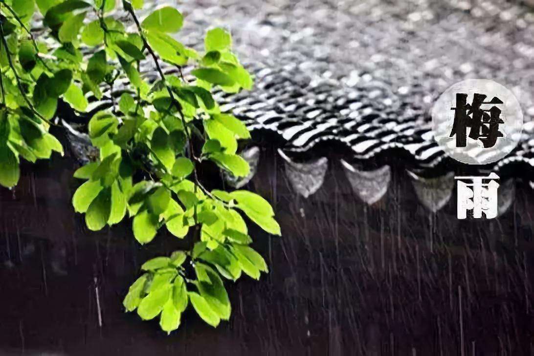 刘禹锡《竹枝词》：东边日出西边雨，有多少阴晴多变的天气现象