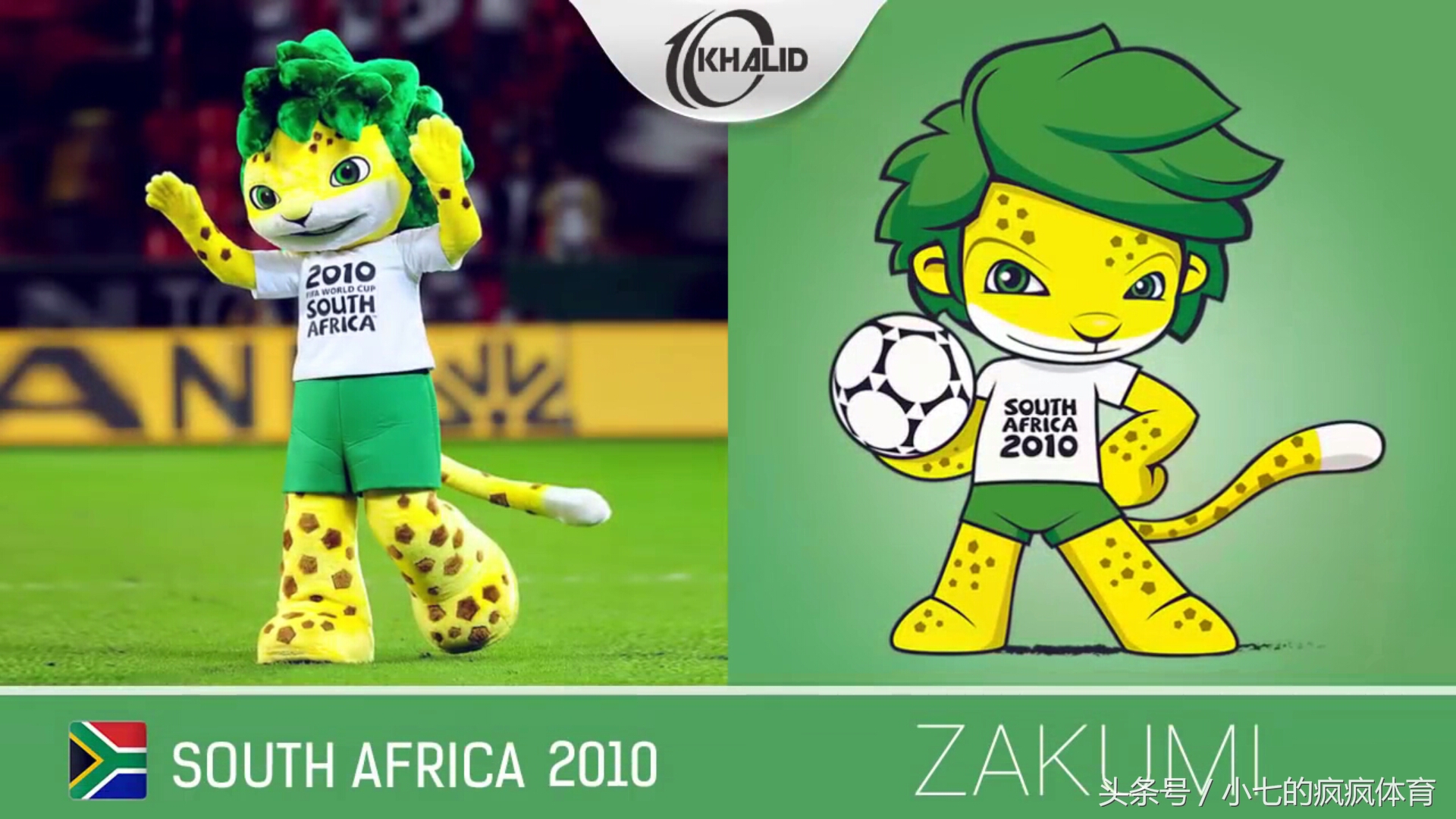 2014年巴西世界杯吉祥物—福来哥(fuleco),名字由futebol(足球)和