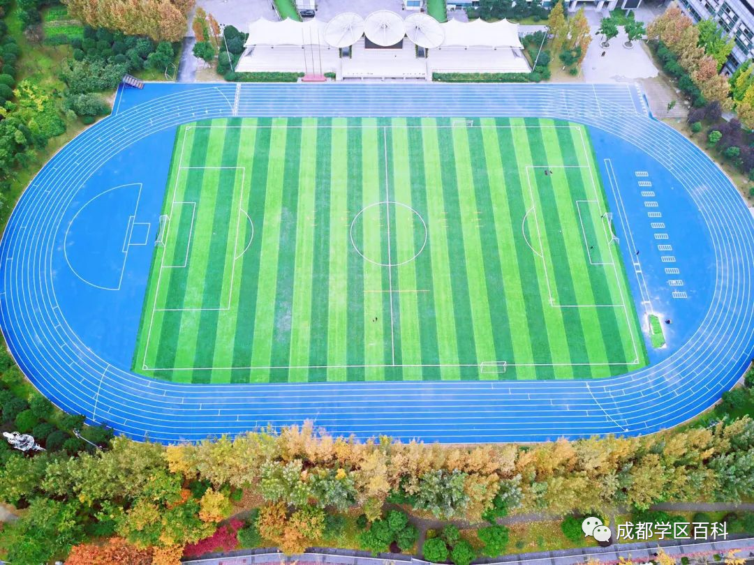 成都四七九小联中之七中育才学校介绍