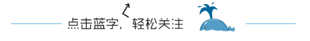 我们去大草原的湖边是什么歌（我们去大草原的湖边抖音版）