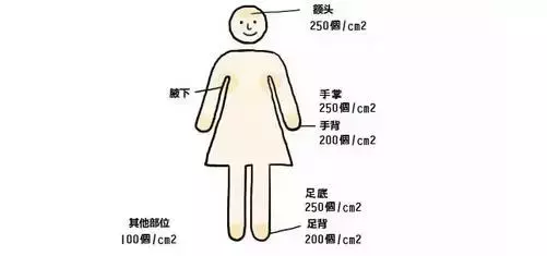 宝宝出汗多是缺了啥？有这些症状要注意！