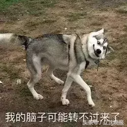 刘慈欣这样评价辽宁高考作文！来看看“大神”们是咋写的……